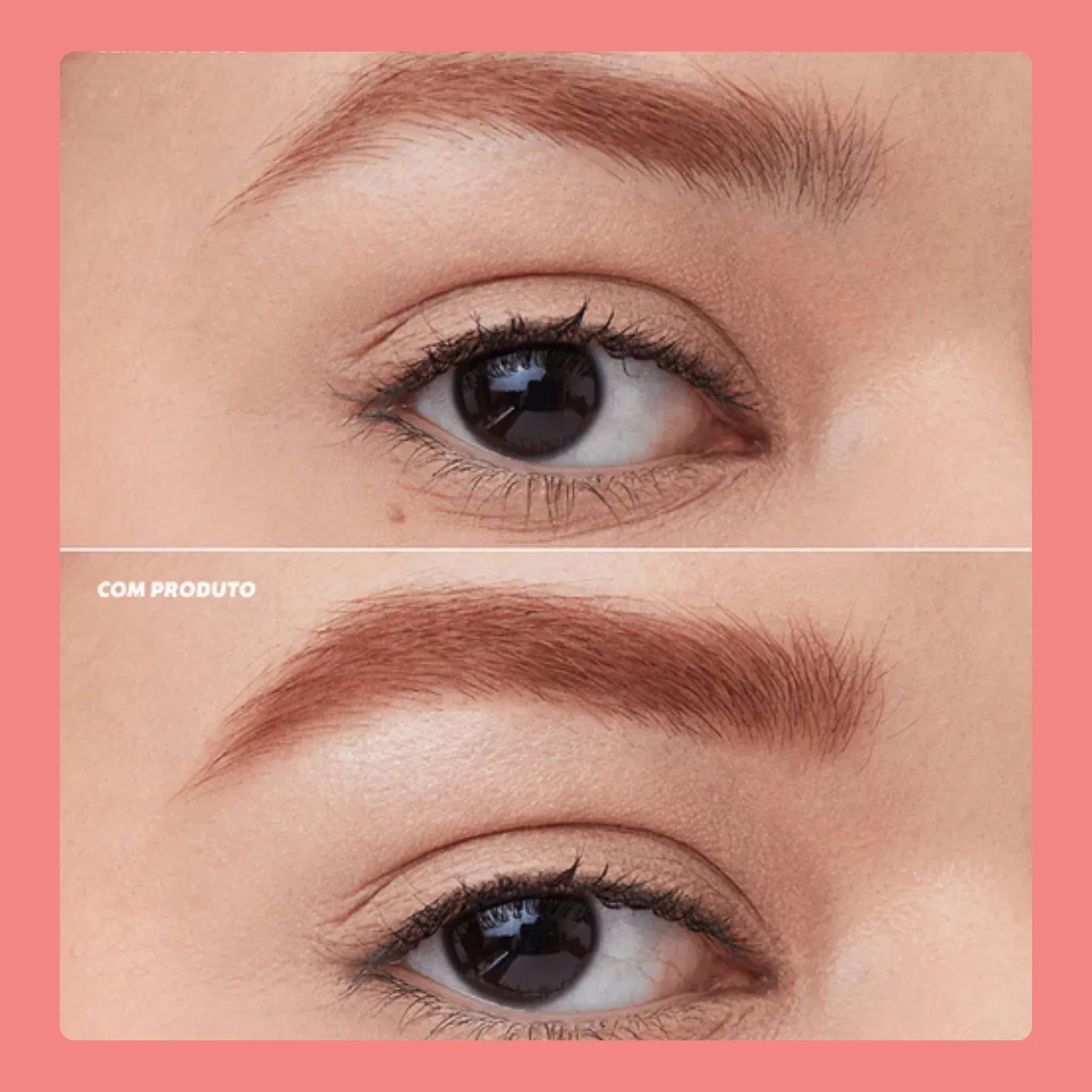 PALETA BROW -3-